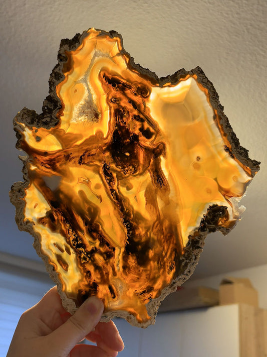 Achat Scheibe Nr. 20