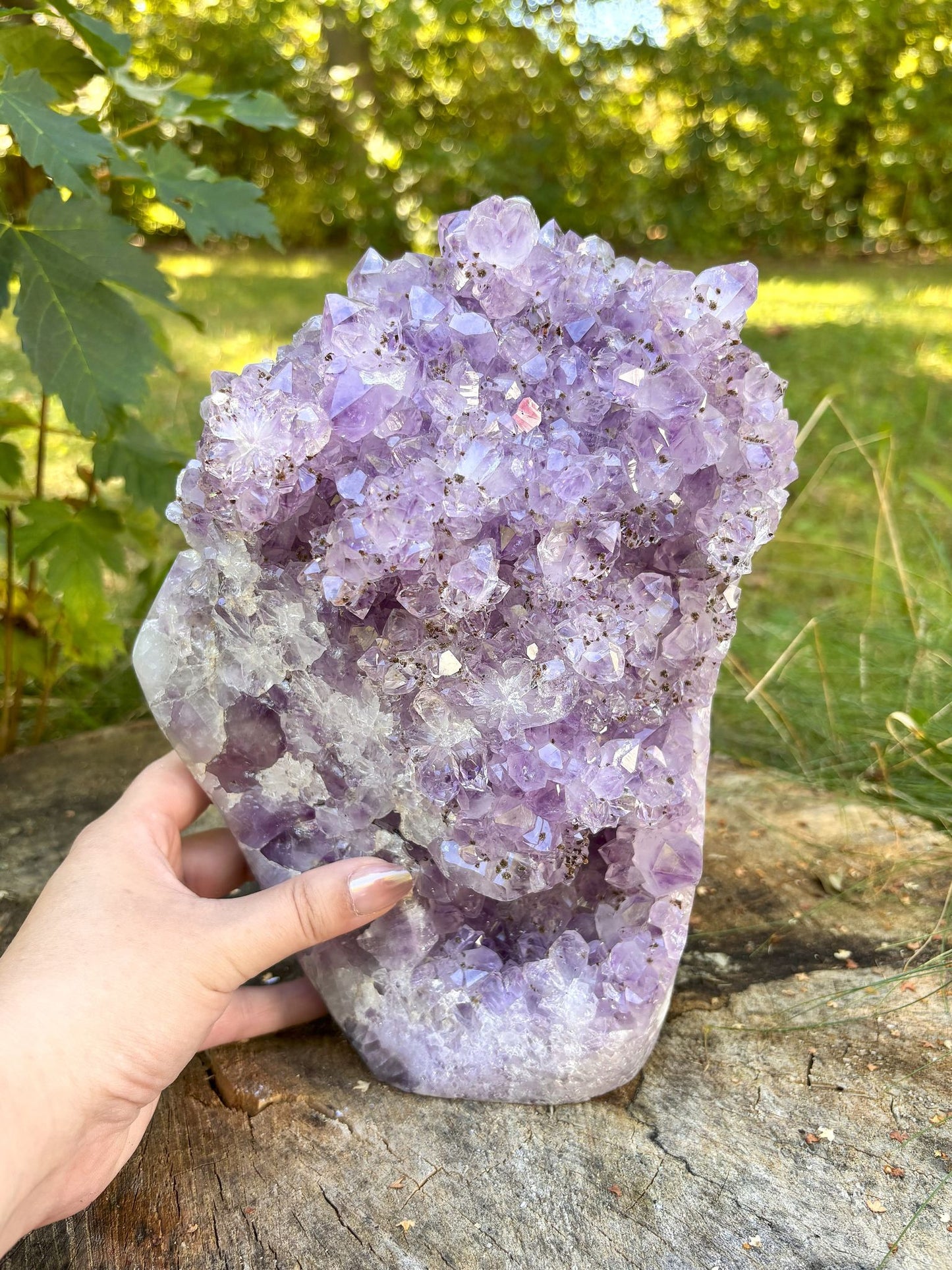 Amethyst Cluster mit Goethit