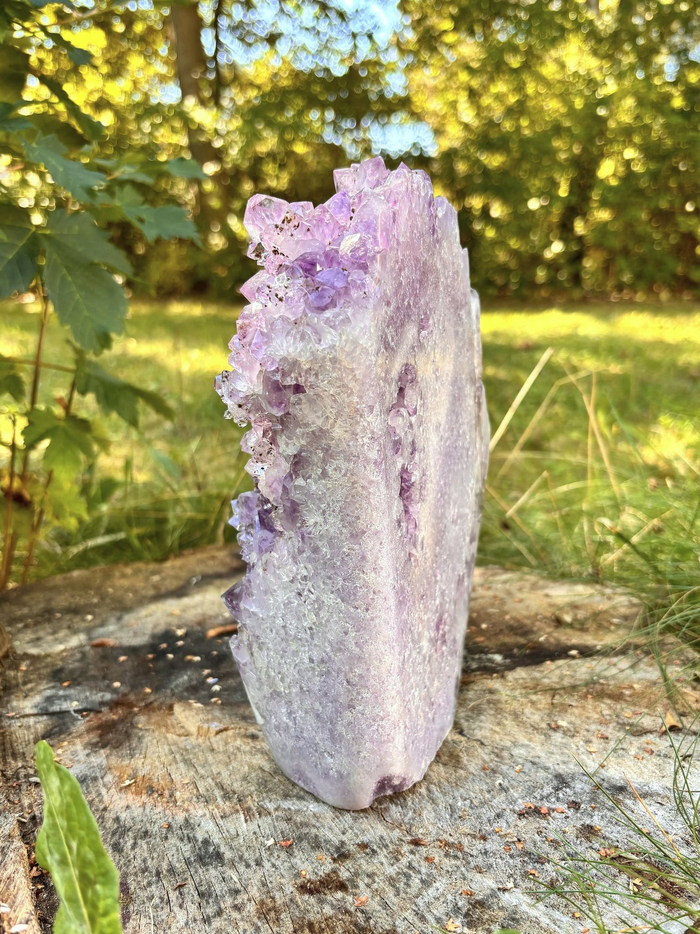 Amethyst Cluster mit Goethit