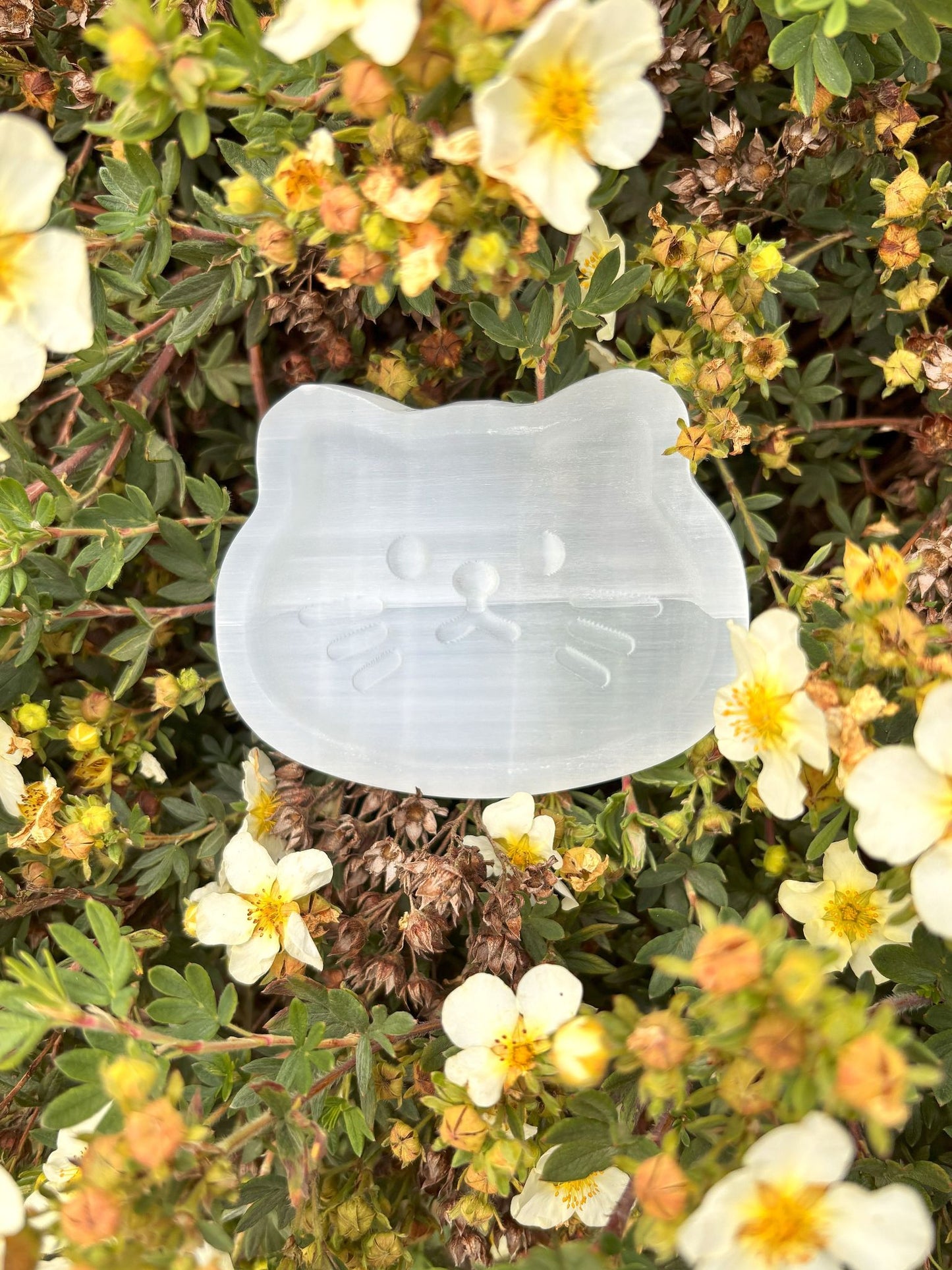 Katzen Schale aus Selenit