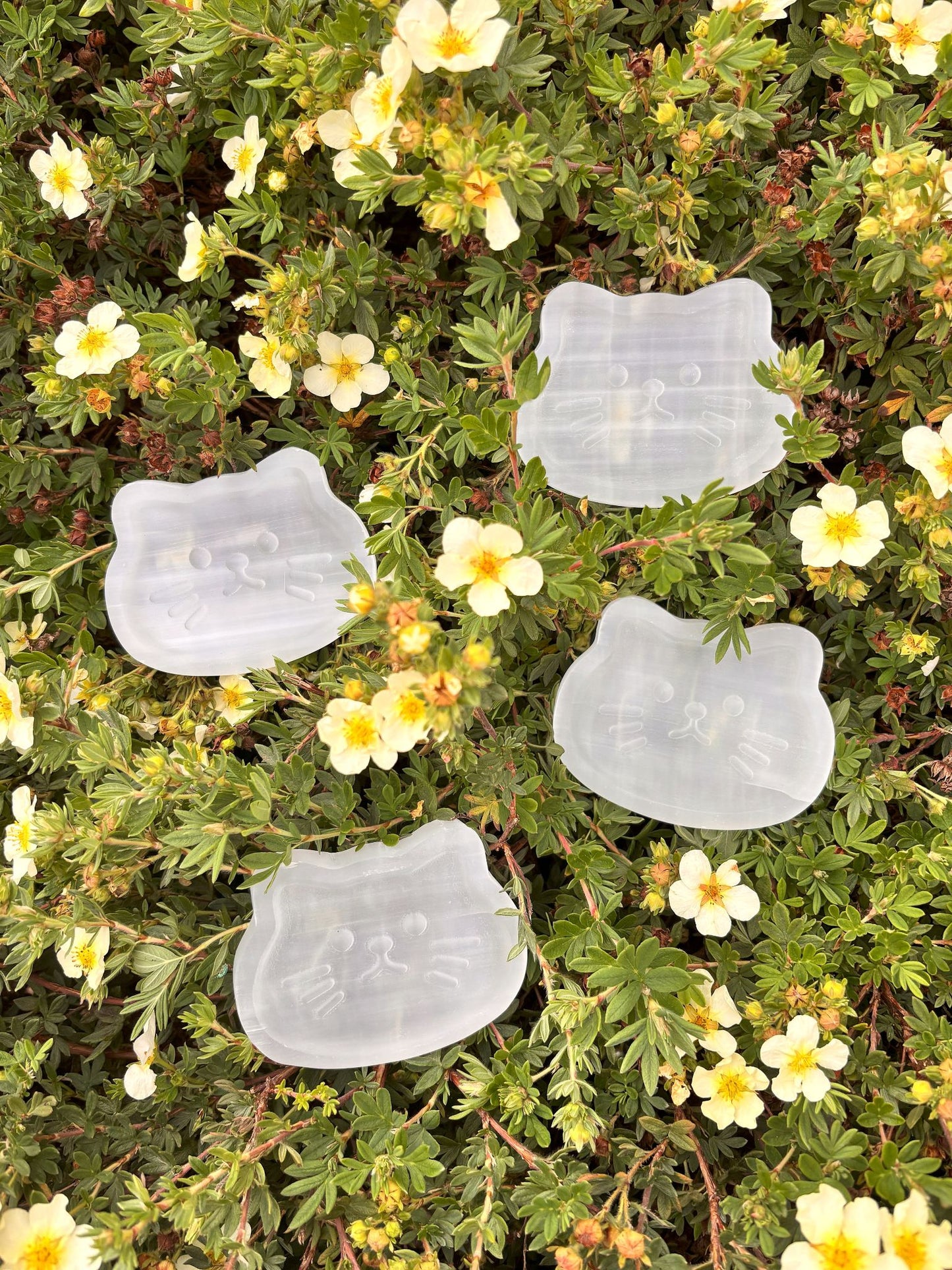 Katzen Schale aus Selenit