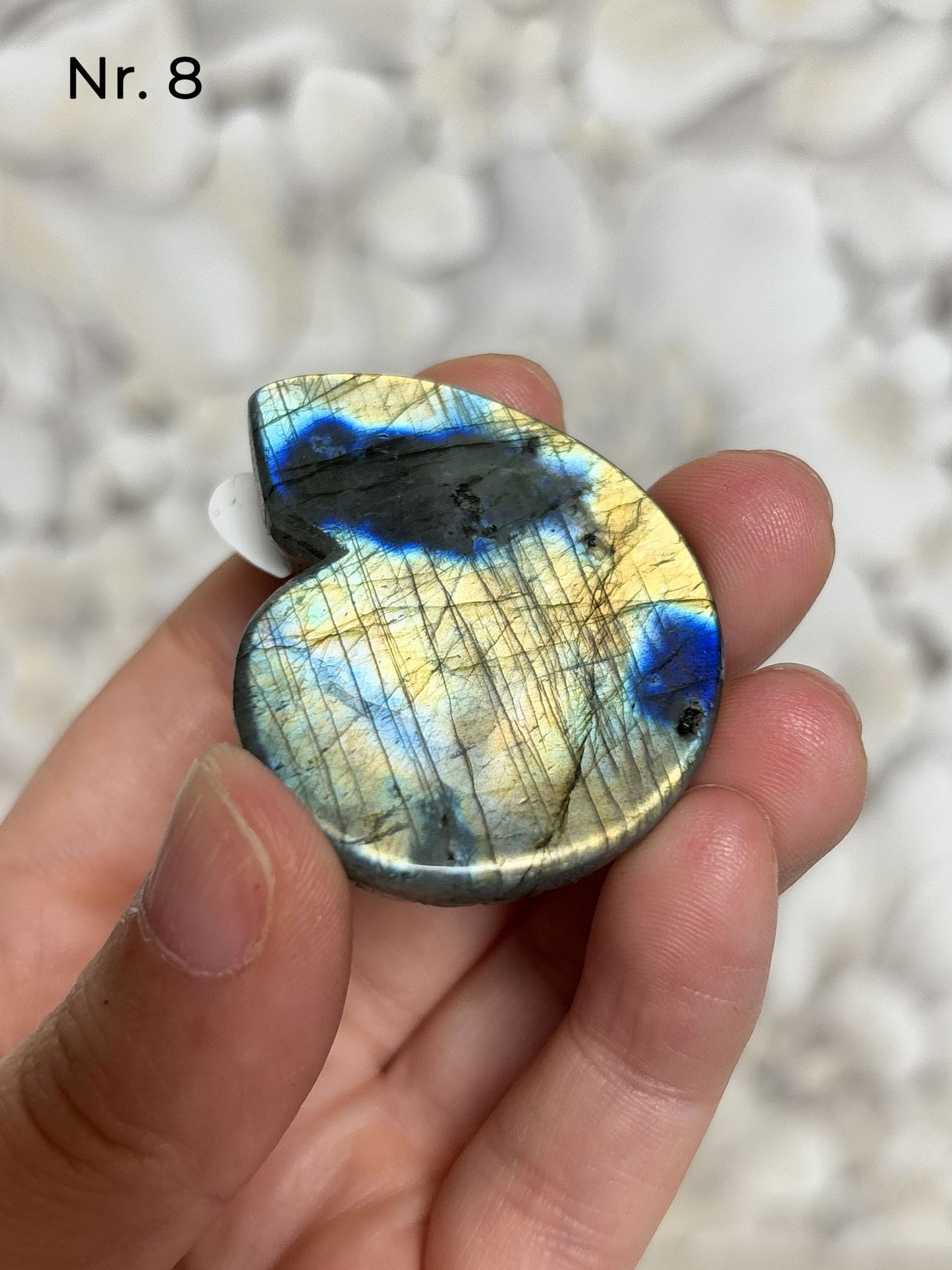 Labradorit Ammonitenform