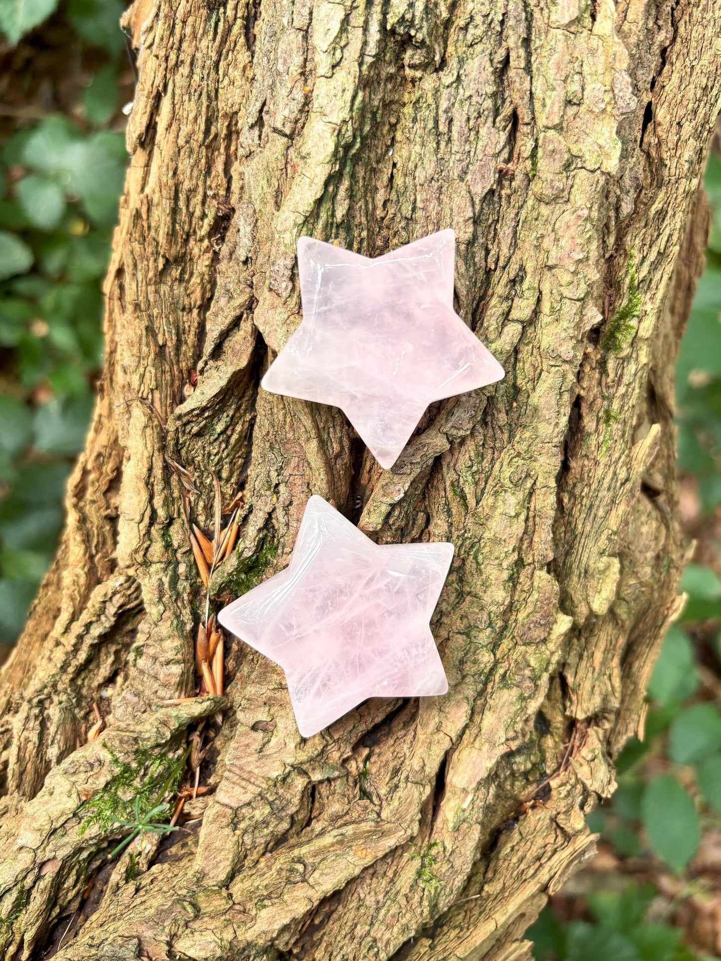 Rosenquarz Sterne