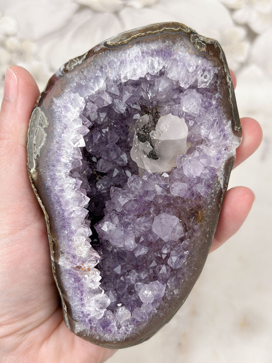 Amethyst Geode Nr. 12 (R1S)