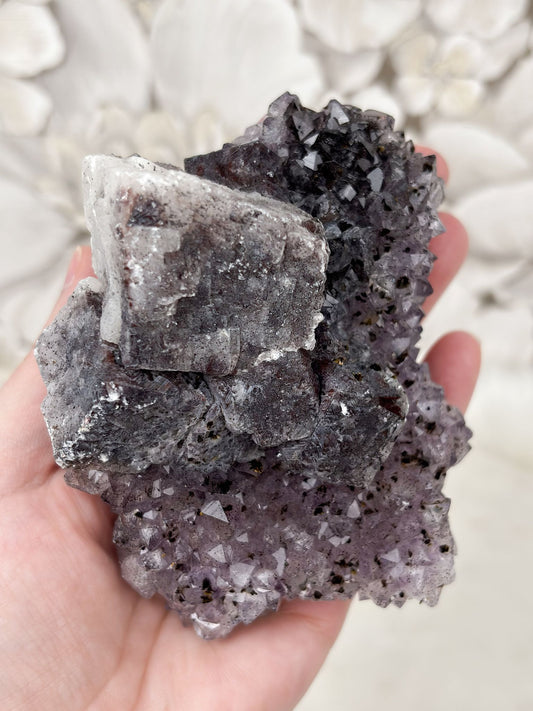 Amethyst Stück Nr. 19 (E2F)