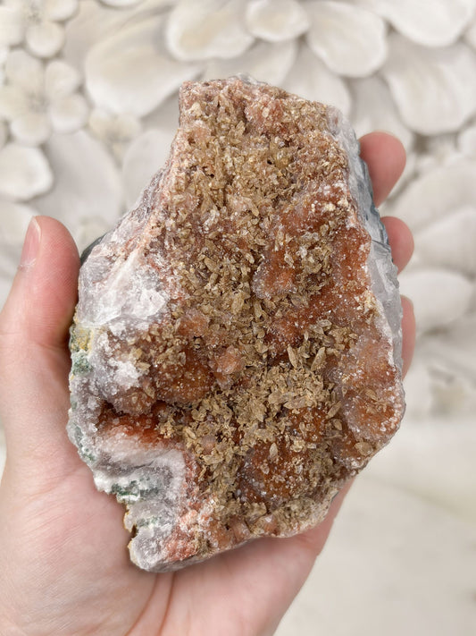 Amethyst Stück Nr. 22 (P7R)