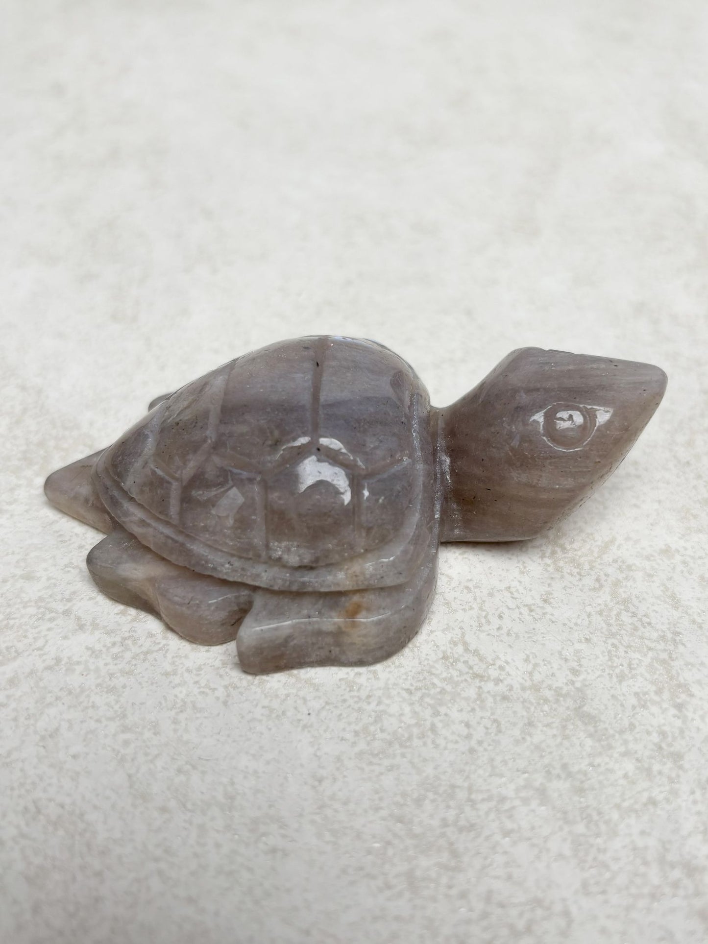 Mondstein Schildkröte Nr. 3