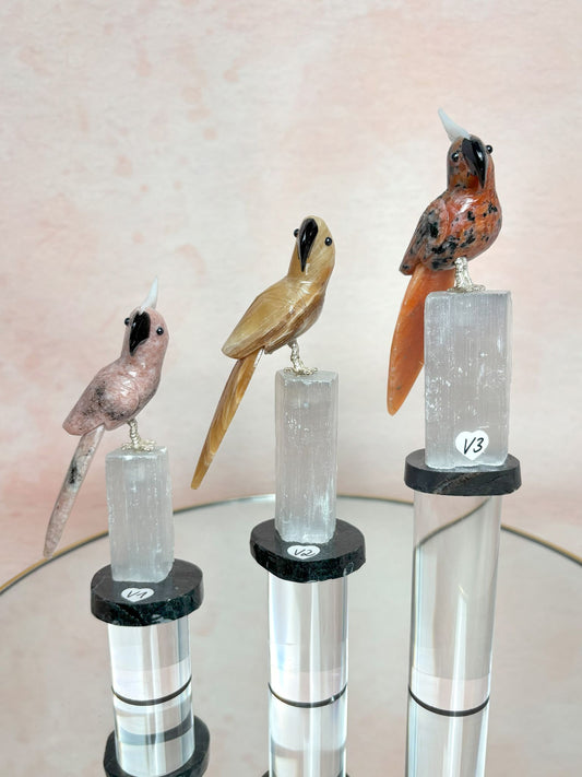 Vögel auf Selenit