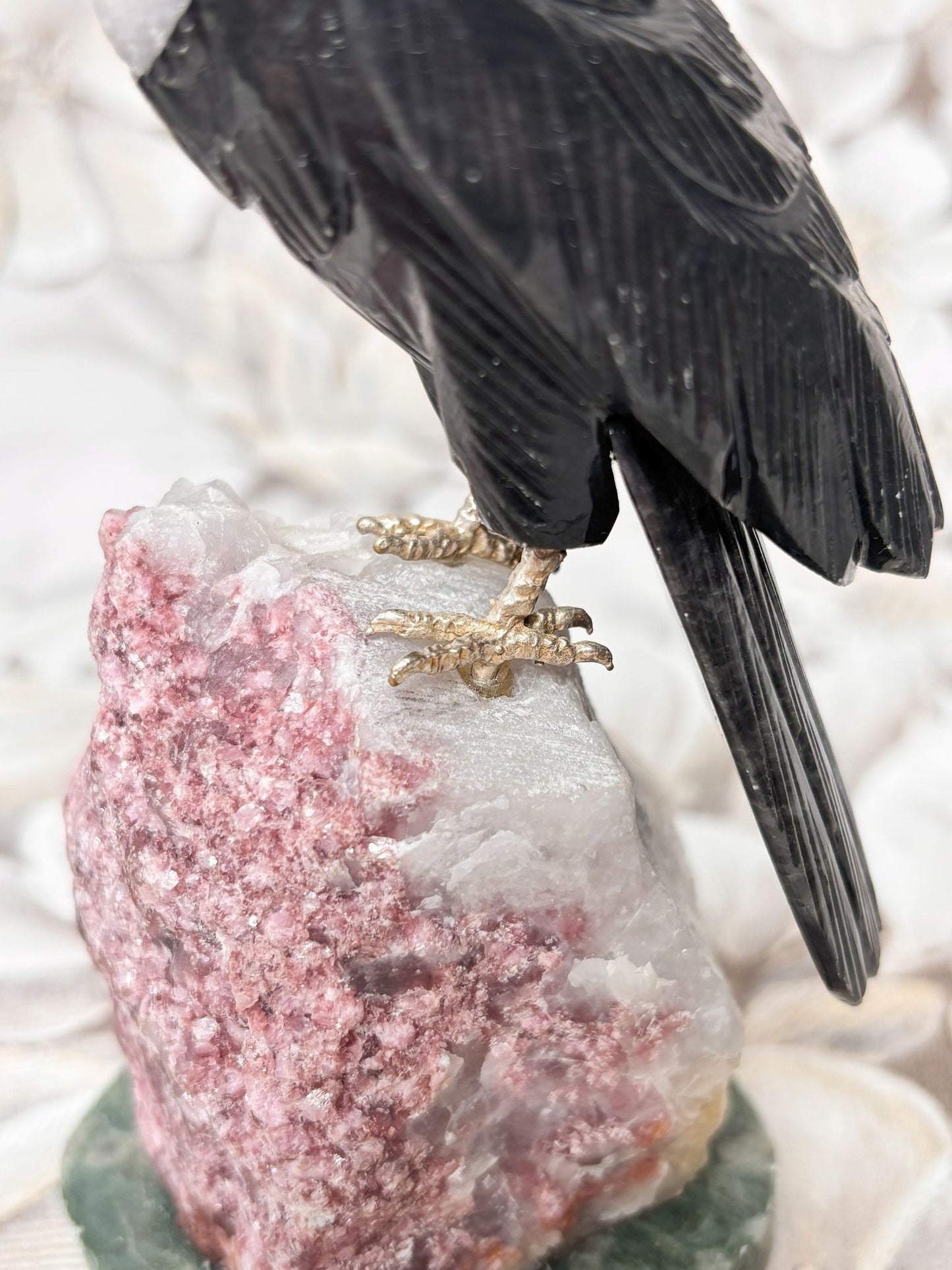 B-Ware: Tukan Vogel