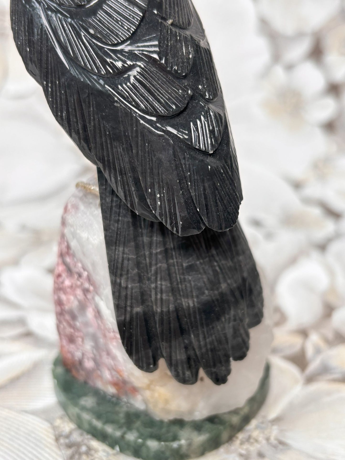 B-Ware: Tukan Vogel