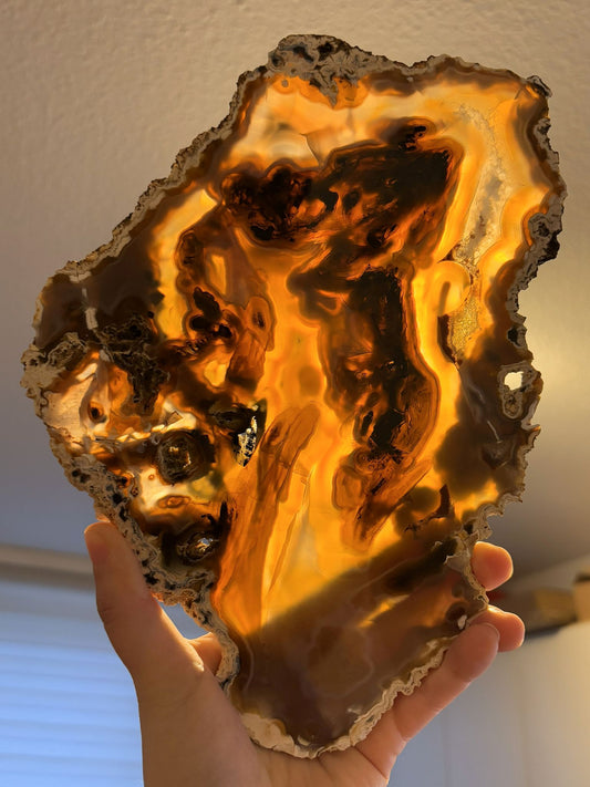 Achat Scheibe Nr. 19