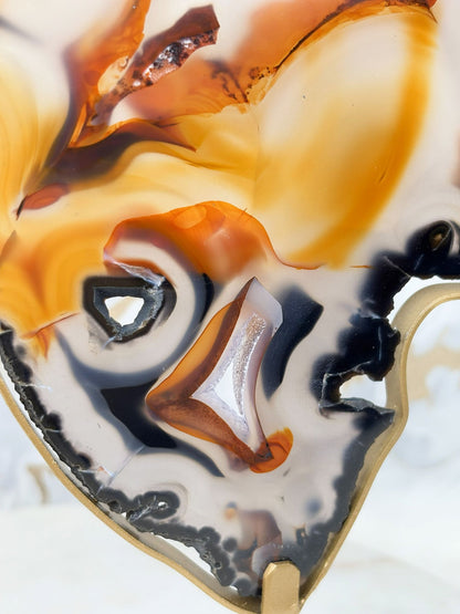 Achat Schmetterling Groß