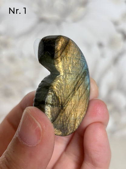 Labradorit Ammonitenform