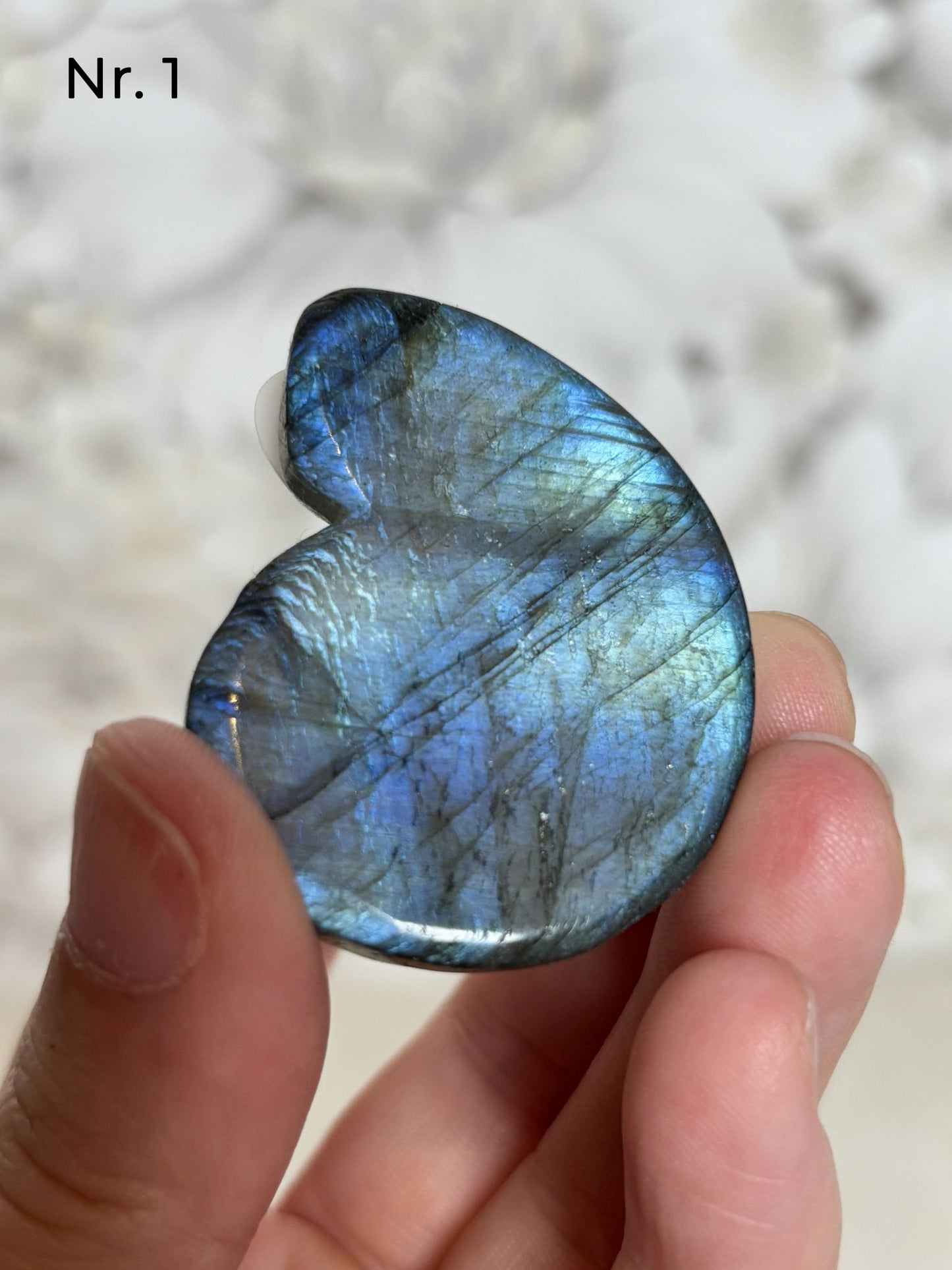 Labradorit Ammonitenform