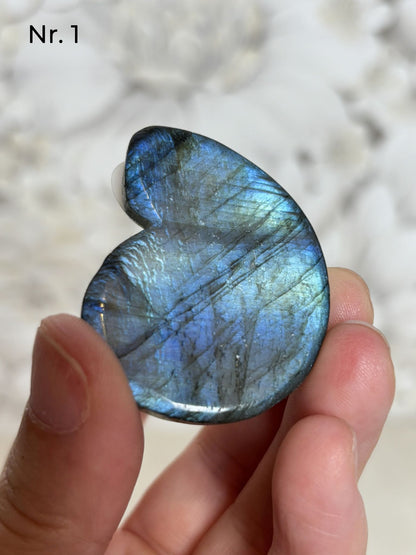 Labradorit Ammonitenform