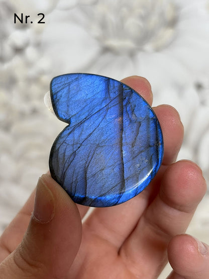 Labradorit Ammonitenform