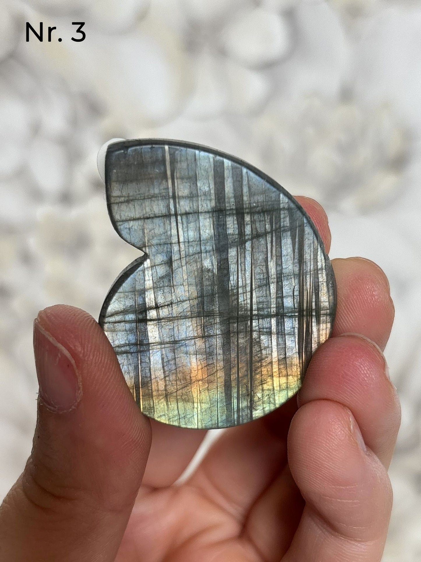 Labradorit Ammonitenform