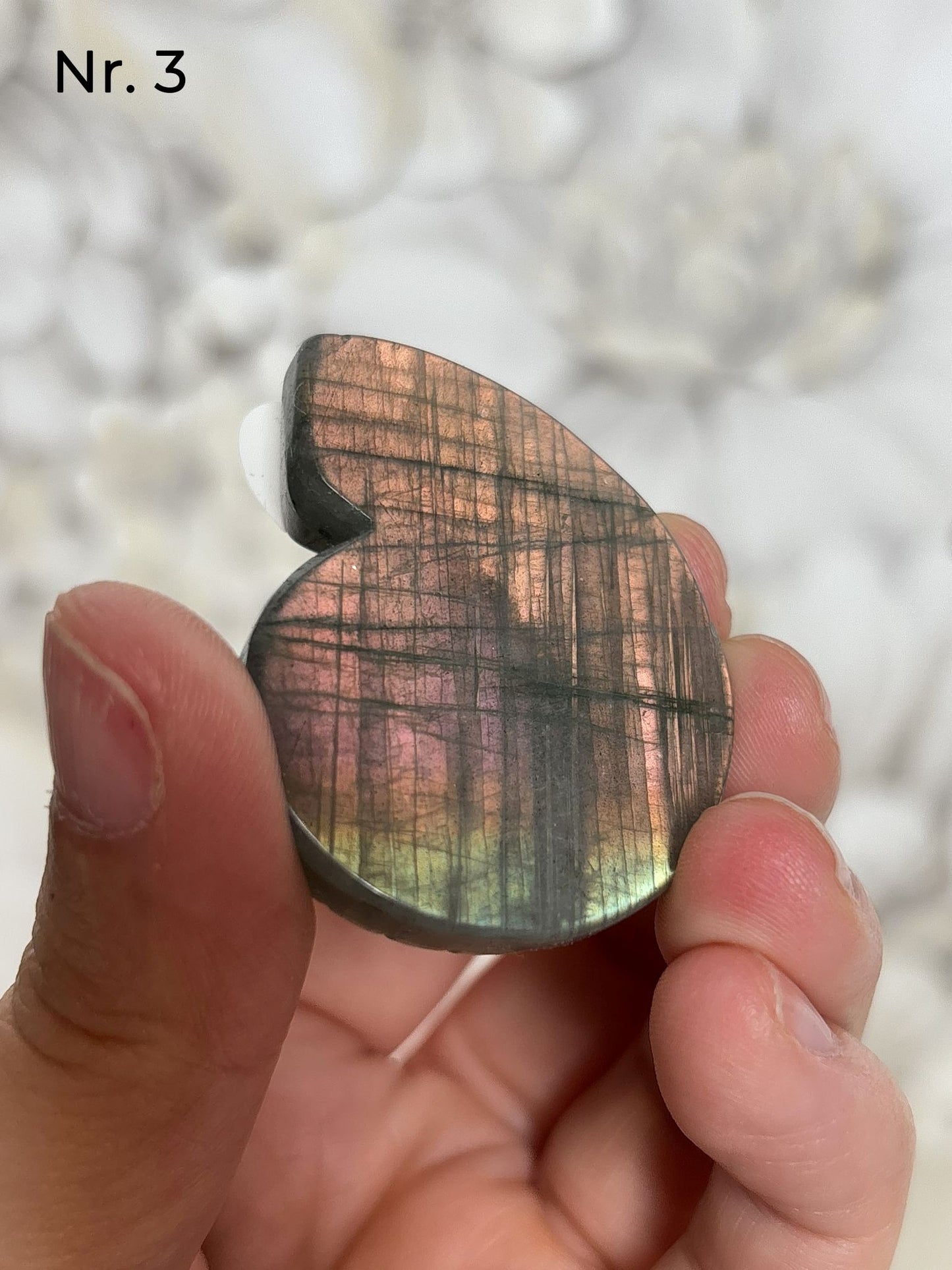 Labradorit Ammonitenform