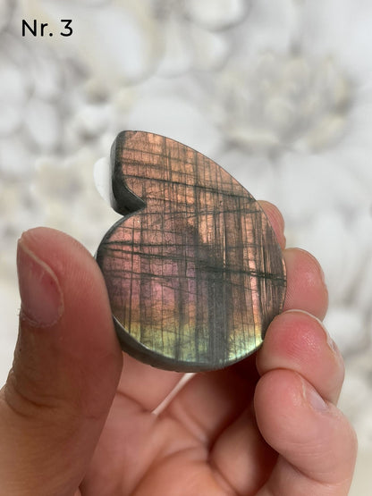 Labradorit Ammonitenform