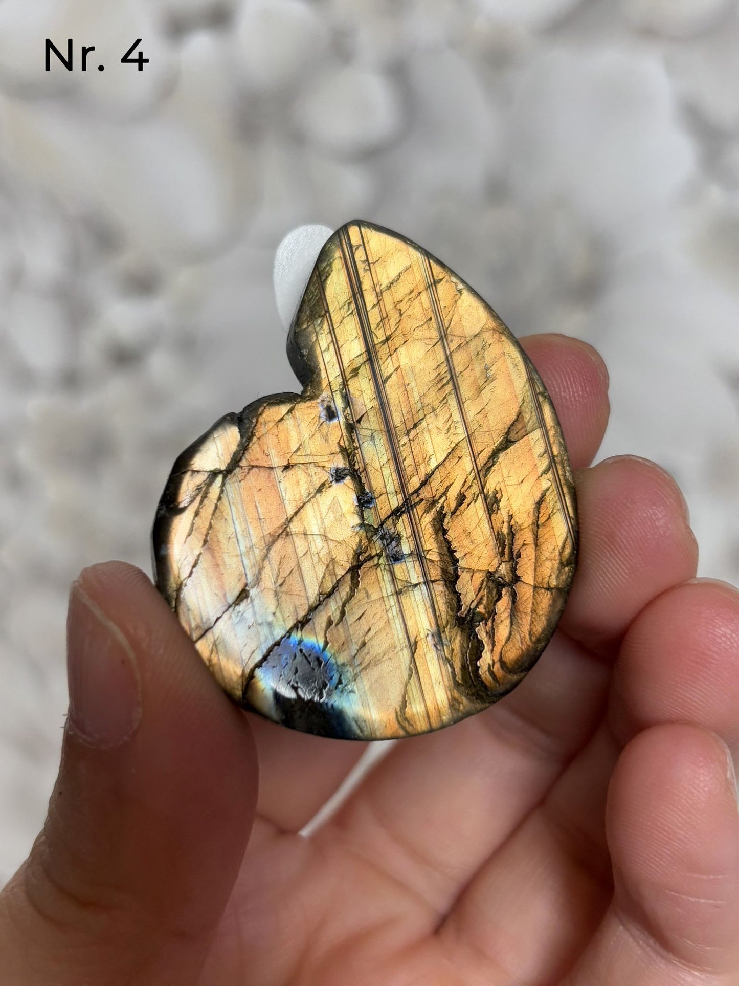 Labradorit Ammonitenform