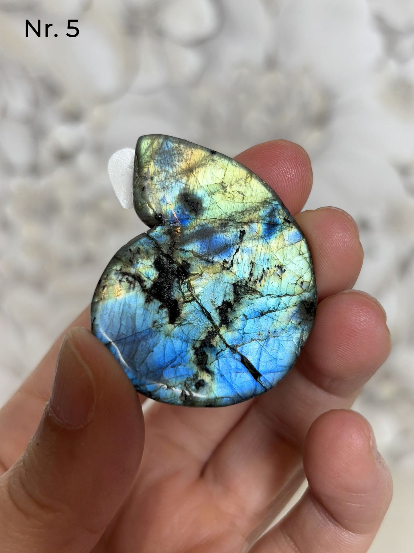 Labradorit Ammonitenform