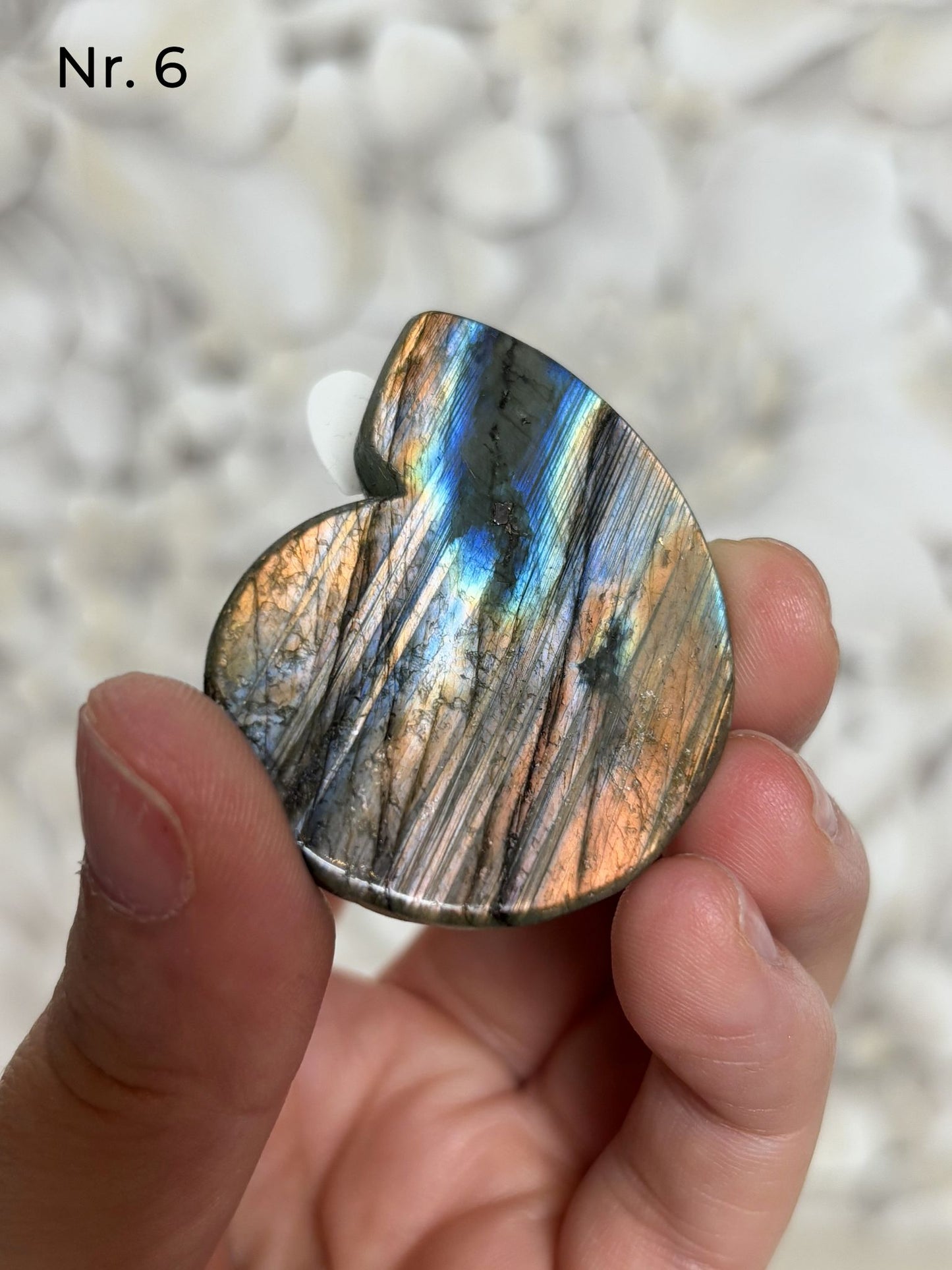 Labradorit Ammonitenform