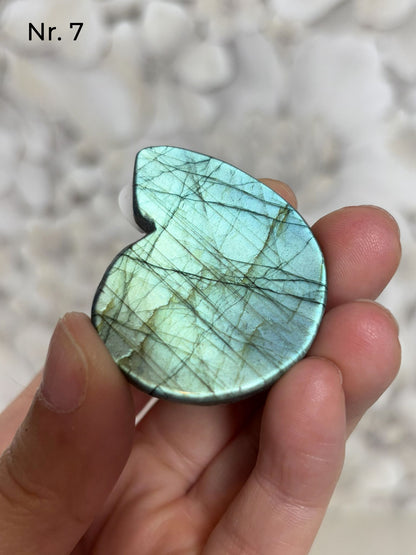 Labradorit Ammonitenform