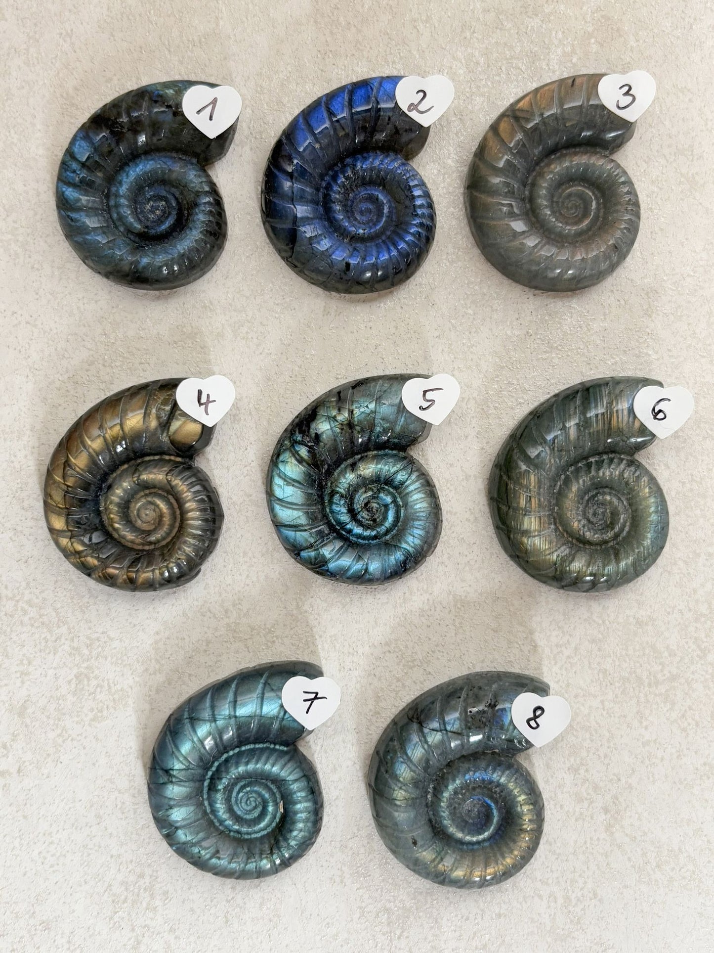 Labradorit Ammonitenform