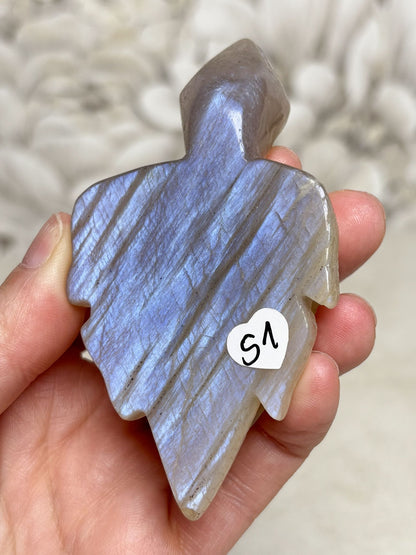 Mondstein Schildkröten