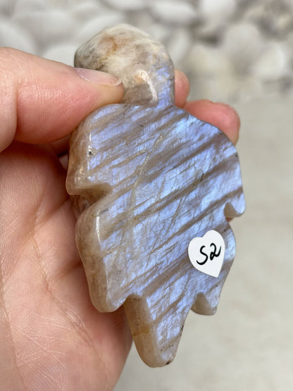 Mondstein Schildkröten