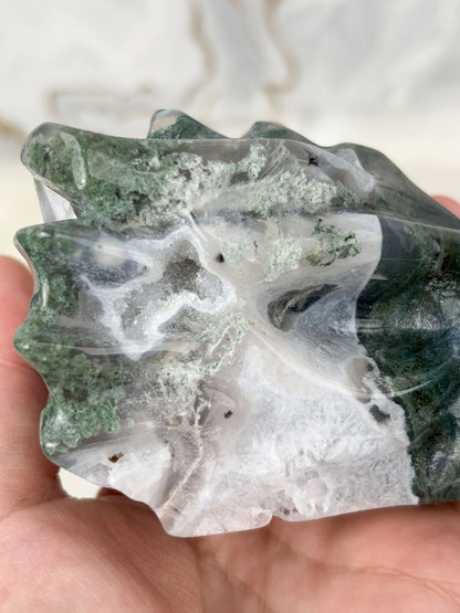 Moosachat Drachenkopf