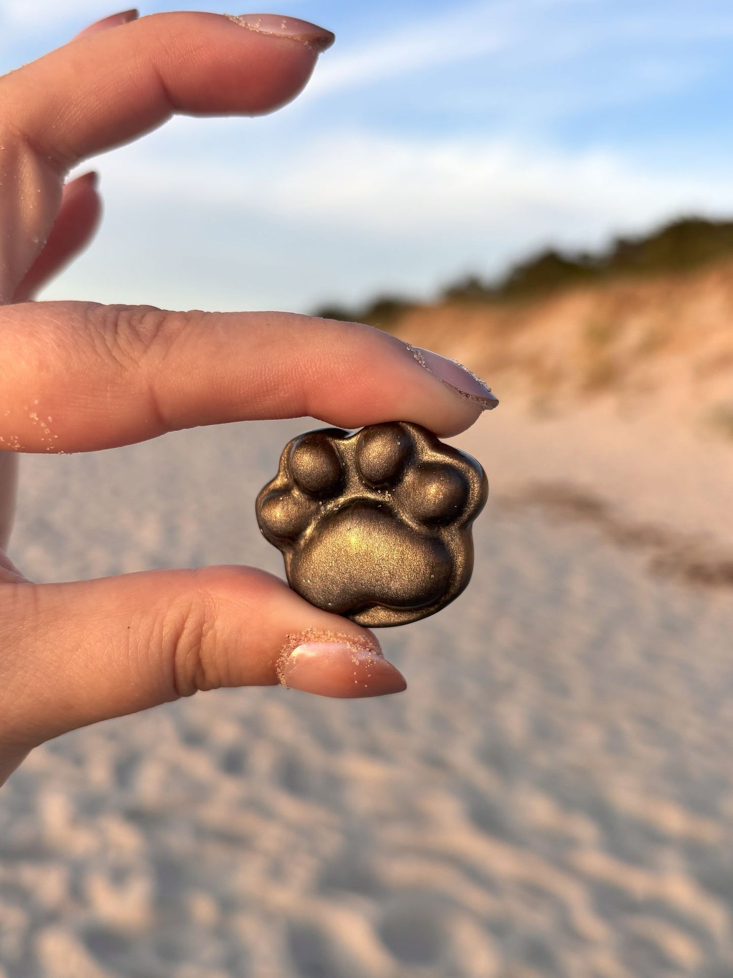 Silber Obsidian Pfoten