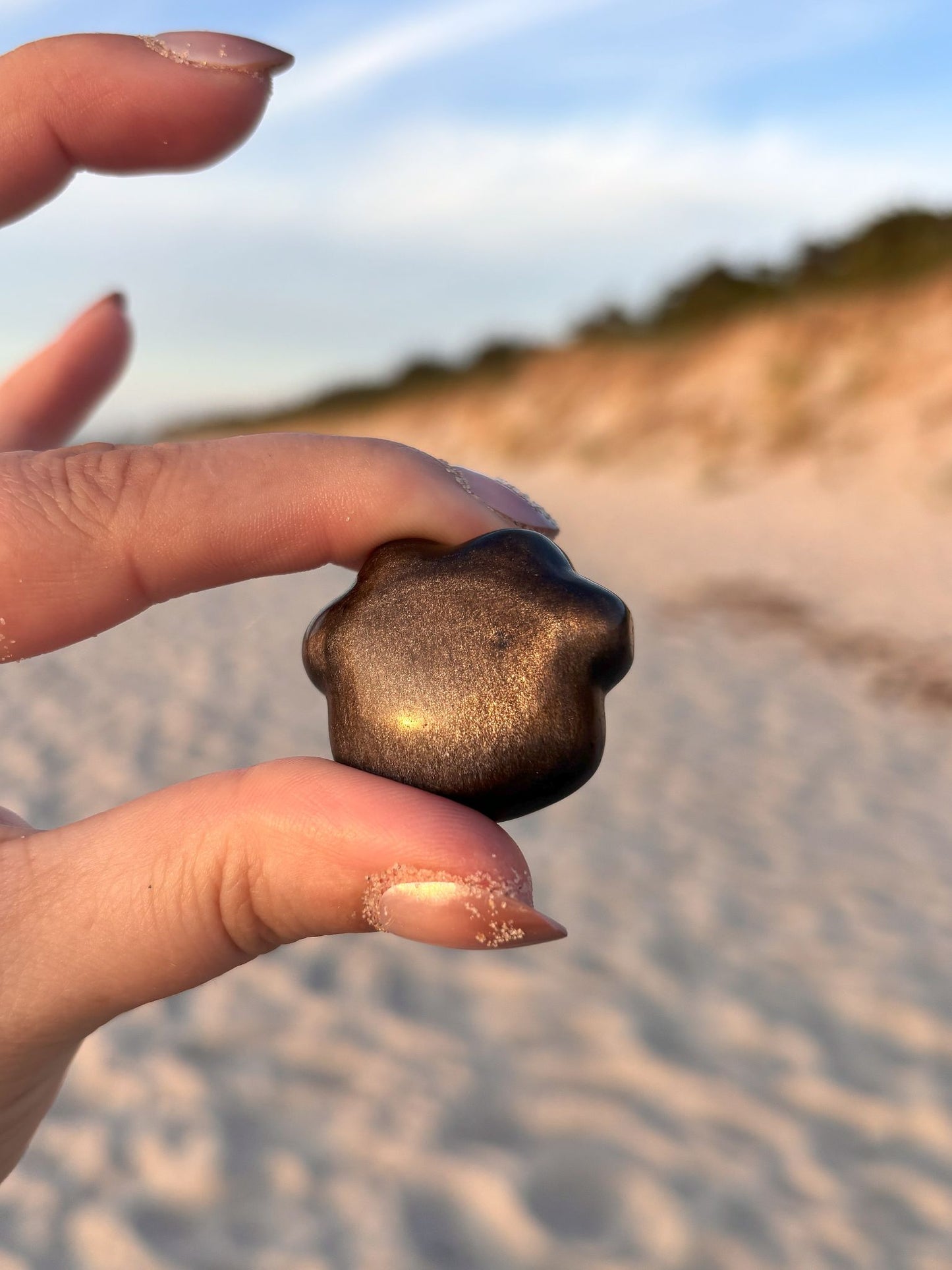 Silber Obsidian Pfoten