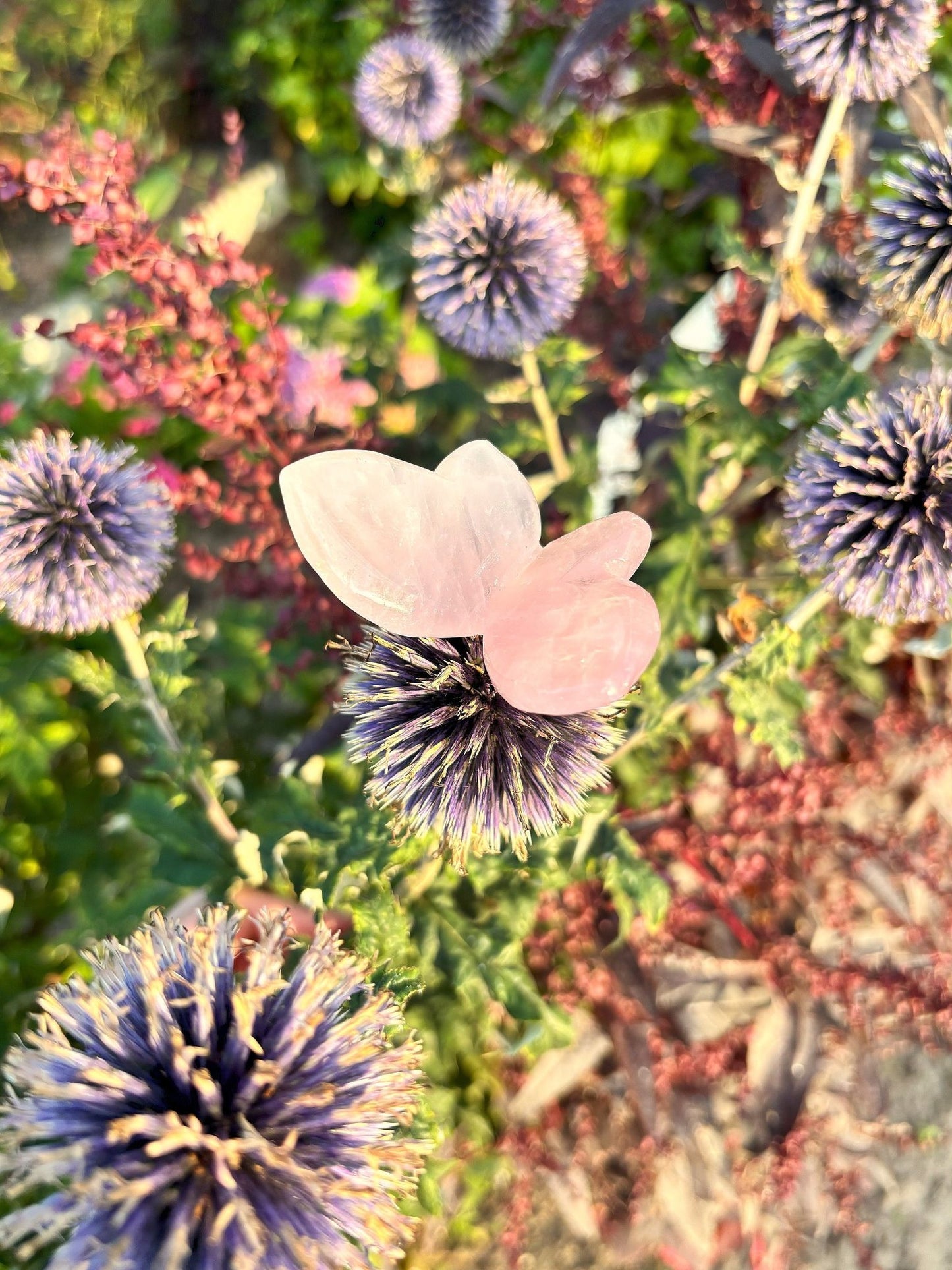 Rosenquarz Schmetterlinge