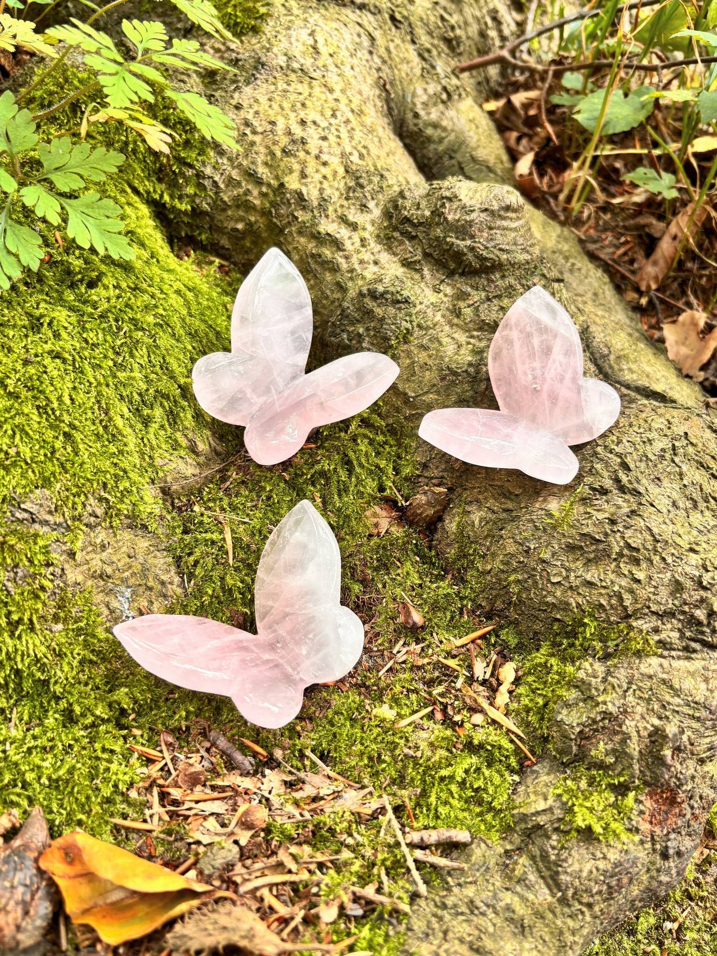 Rosenquarz Schmetterlinge