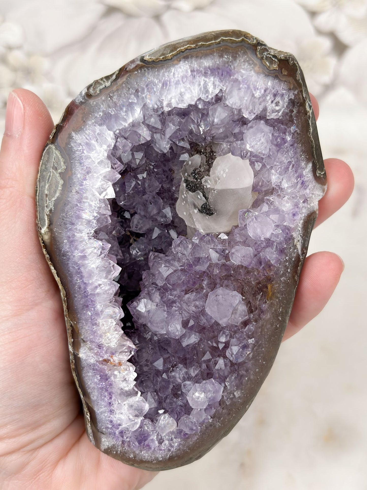 Amethyst Geode Nr. 12 (R1S)