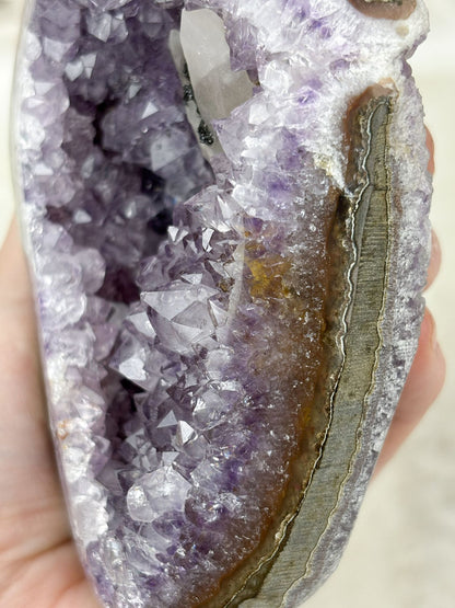 Amethyst Geode Nr. 12 (R1S)