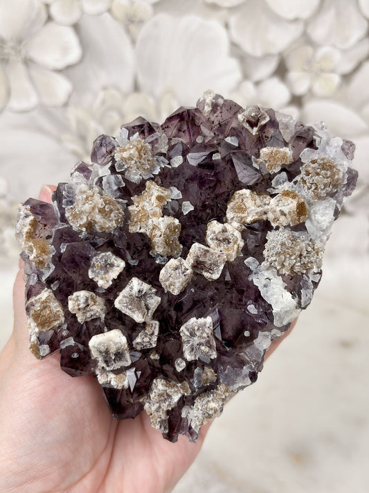 Amethyst Stück Nr. 21 (J6K)