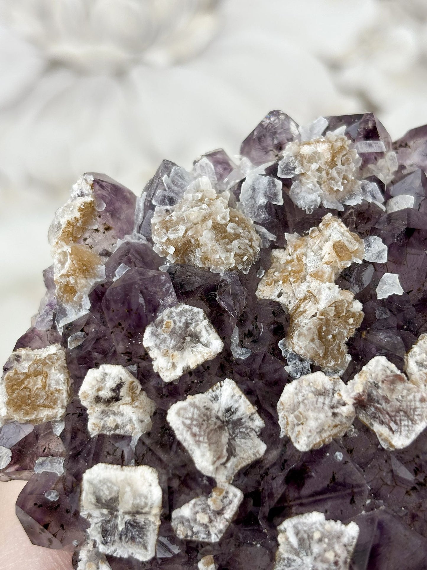 Amethyst Stück Nr. 21 (J6K)