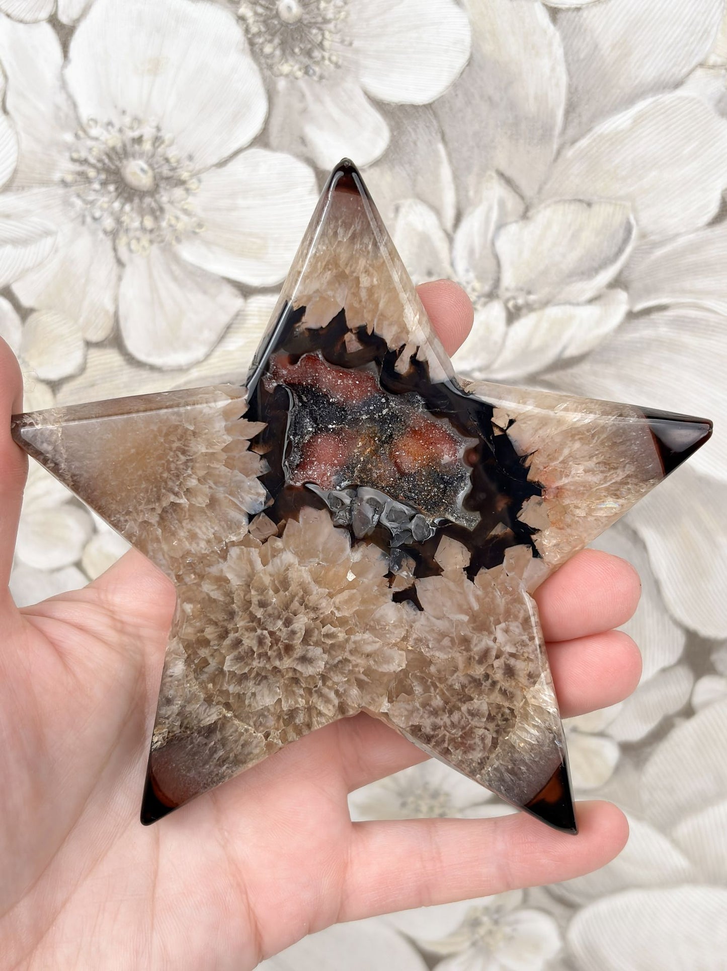 B-Ware: Sardonyx Stern Nr. 3