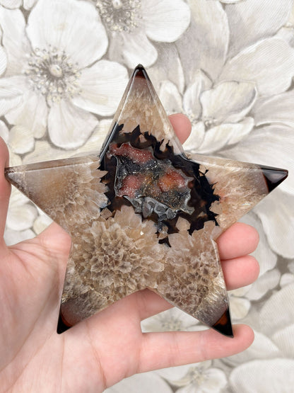 B-Ware: Sardonyx Stern Nr. 3