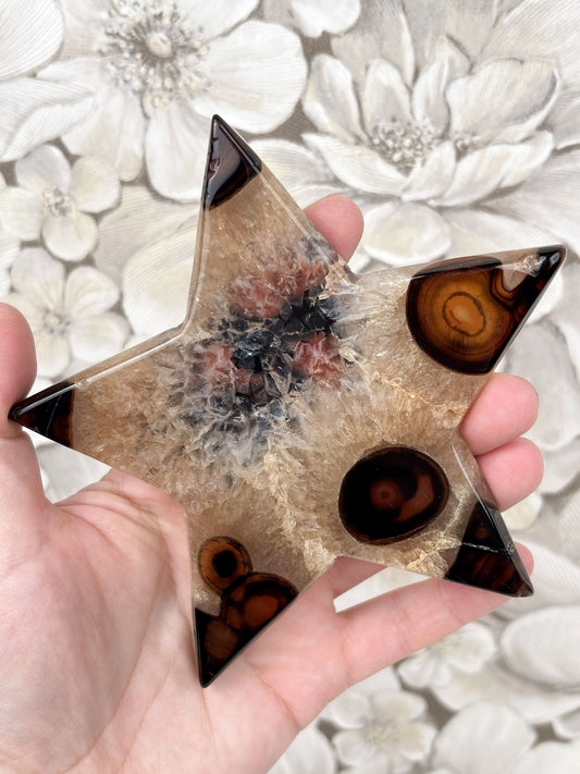 B-Ware: Sardonyx Stern Nr. 3