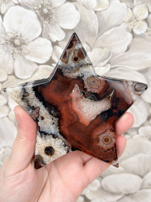 B-Ware: Sardonyx Stern Nr. 4