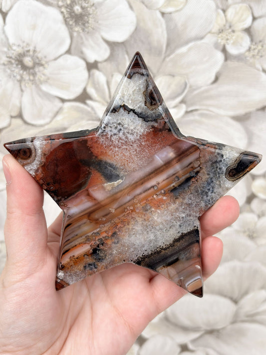 B-Ware: Sardonyx Stern Nr. 4