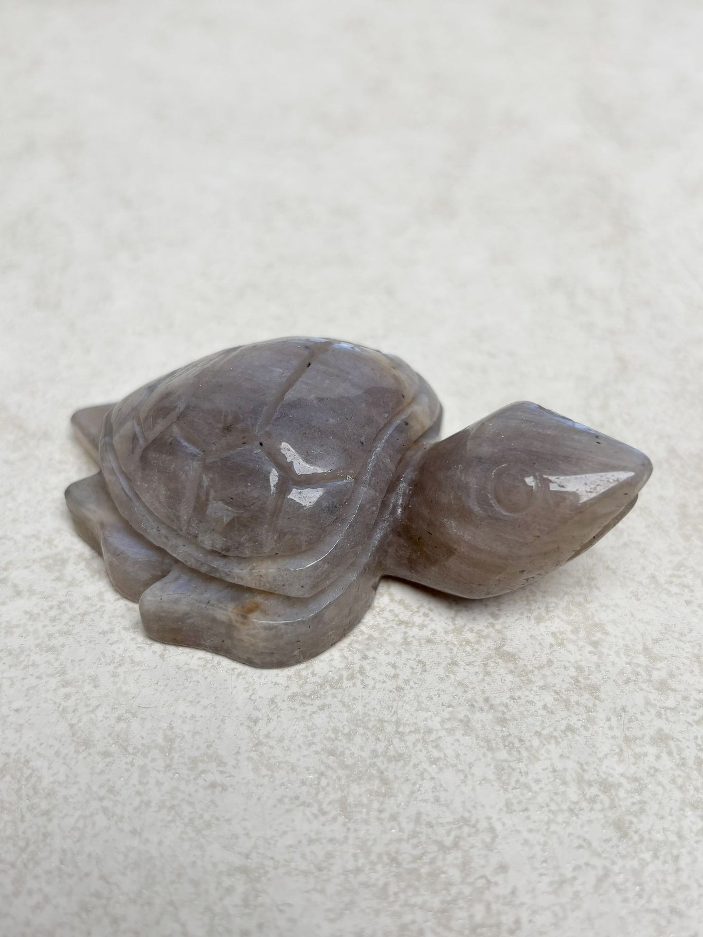 Mondstein Schildkröte Nr. 3