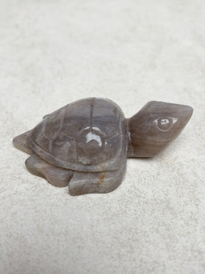 Mondstein Schildkröte Nr. 3