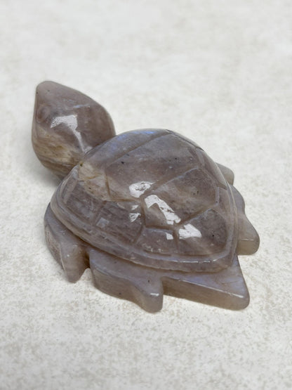 Mondstein Schildkröte Nr. 3