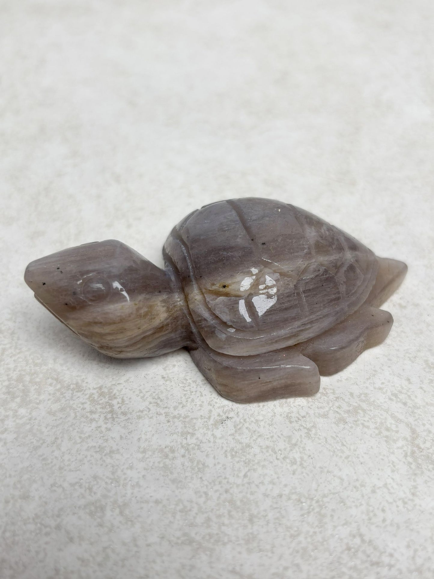 Mondstein Schildkröte Nr. 3