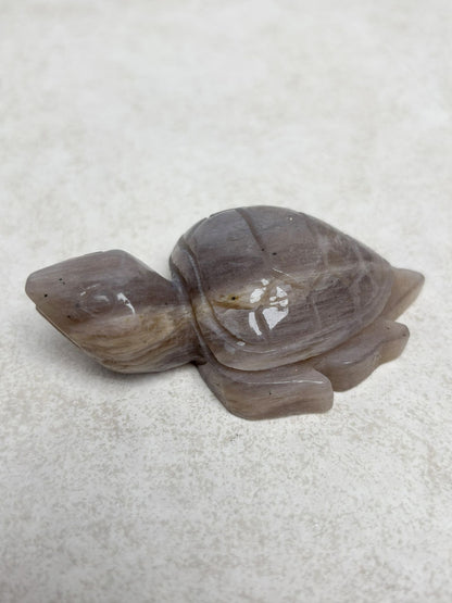 Mondstein Schildkröte Nr. 3