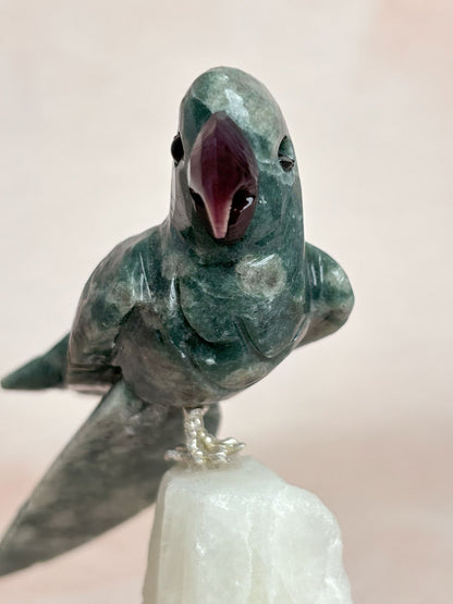 B-Ware: Moosachat Vogel